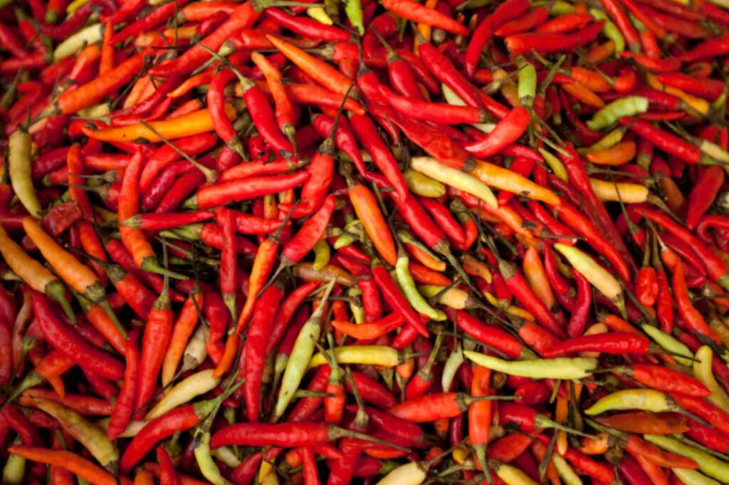 red chili paste
